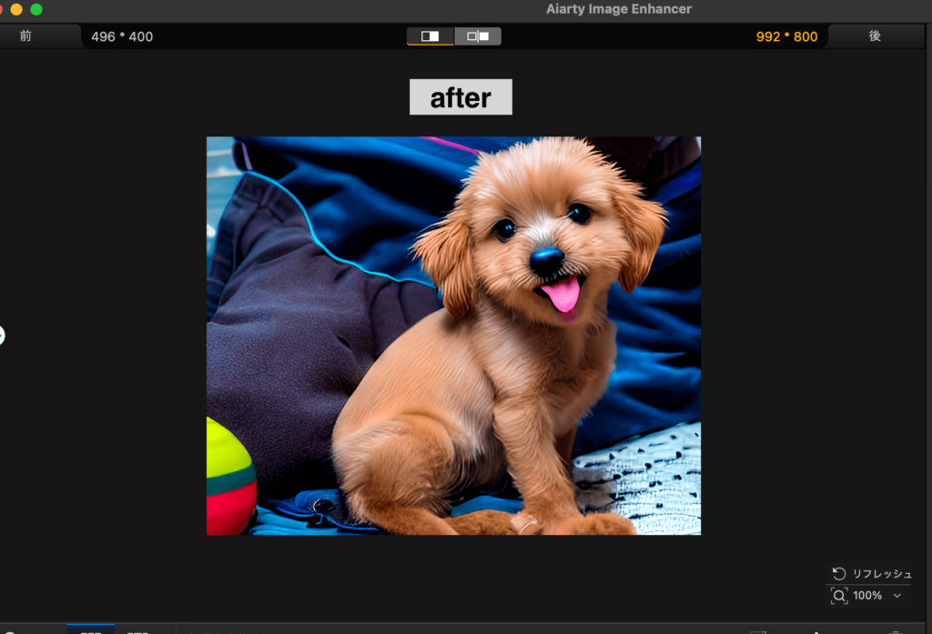 Aiarty Image Enhancerで高画質化した女性の犬の画像