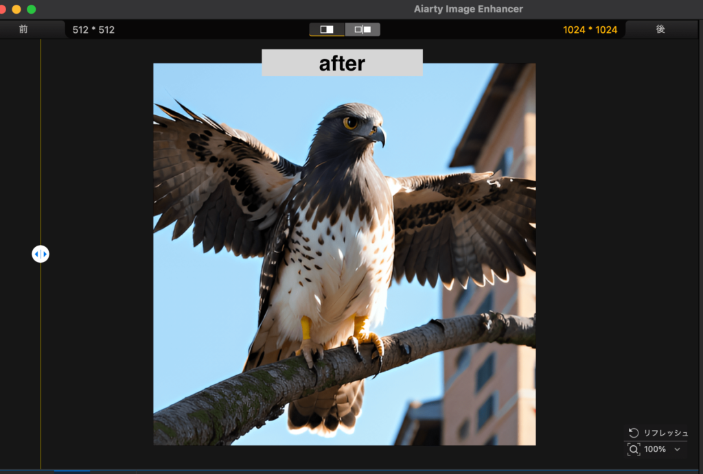 Aiarty Image Enhancerで高画質化した鷹の画像